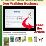 dog-walking-business