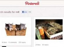 Search Pinterest People